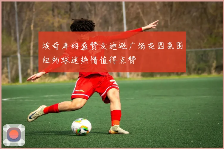 埃奇库姆盛赞麦迪逊广场花园氛围纽约球迷热情值得点赞
